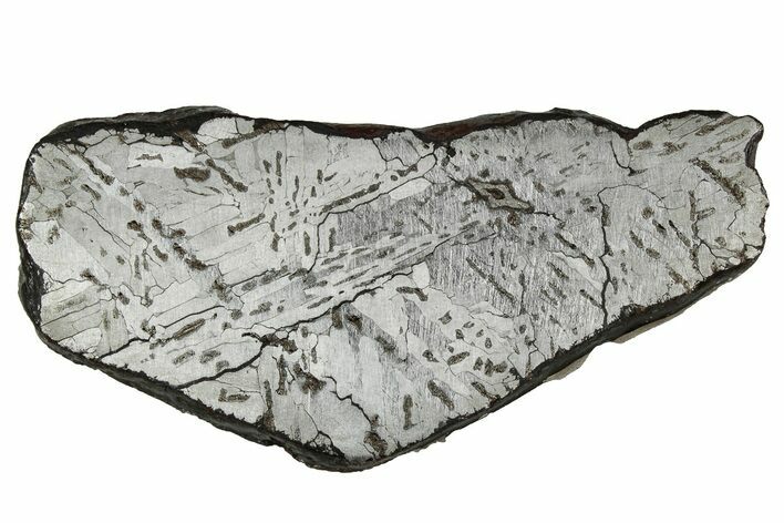 Etched Canyon Diablo Meteorite Slice ( g) - Arizona #356087